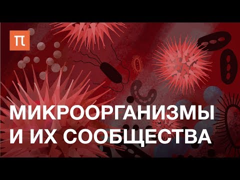 Видео: Микроорганизмы и их сообщества — курс Елизаветы Бонч-Осмоловской