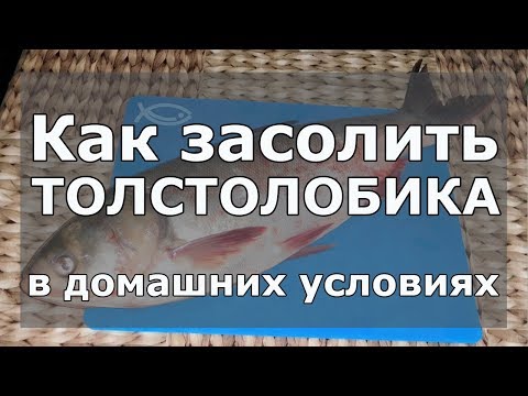 Видео: 🐟 Как быстро засолить толстолобика кусочками в домашних условиях и чтобы мясо было вкусное и мягкое