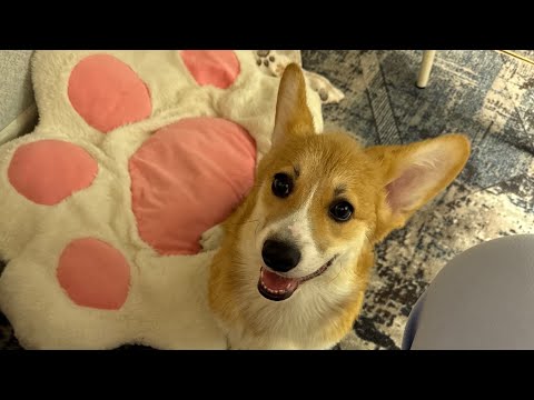 Видео: Давно не было от нас длинного видео🥰