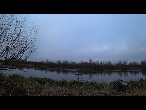 Видео: ФИДЕРНАЯ ЛОВЛЯ НА РЕКЕ ПОЗДНЕЙ ОСЕНЬЮ. ЛЕЩИ ПРОДОЛЖАЮТ РАДОВАТЬ НАС МОЩНЫМИ ПОКЛЕВКАМИ!!!