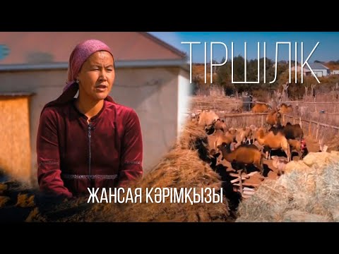 Видео: «Тіршілік» бағдарламасы І Жансая Кәрімқызы