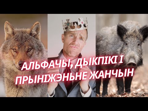 Видео: Няяўная гэндарная несправядлівасьць на працы і дома, у ЗША і Беларусі