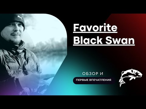 Видео: Обзор спиннинга Favorite Black Swan 902ML-T - Первые впечатления и отзыв!