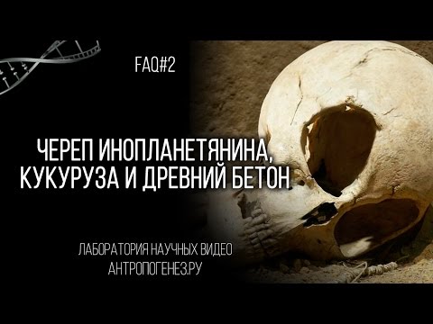 Видео: Александр Соколов. Череп инопланетянина, кукуруза и древний бетон