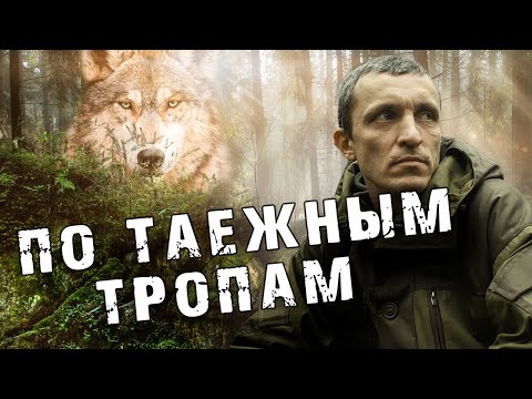 Видео: Таежные будни егеря Остапова и волка Валдая  (Часть 2)  "По таежным тропам!"