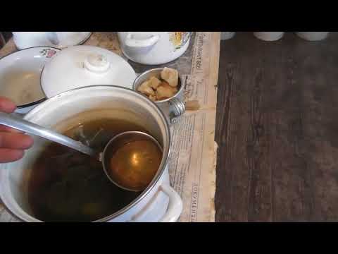 Видео: Завтрак наш. 15. 08. 2024