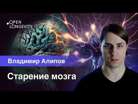 Видео: Владимир Алипов: Старение мозга