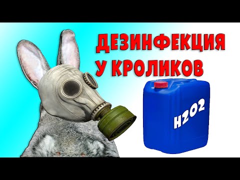 Видео: Дезинфекция перекисью водорода