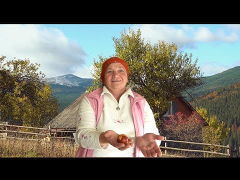 Видео: Єдина мольфарка на Закарпатті в селі Ясіня вправляє недуги руками!