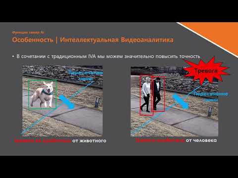 Видео: Видеокамеры Wisenet с Искусственным Интеллектом (AI) и пример их работы в ПО SSM и регистраторах