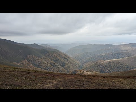 Видео: "Великий верх" "Водоспад Шипіт" Подорож з ночівлею. Псилоцибінові гриби.