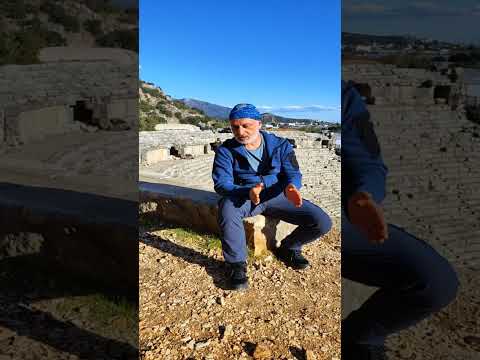 Видео: Человек произошёл от обезьяны  Белый ШамаН в прямом эфире!