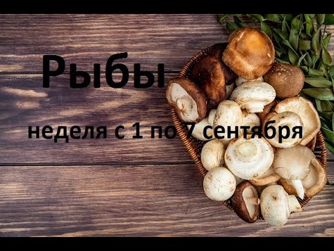 Видео: Рыбы таро прогноз на неделю с 1 по 7 сентября 2025 года. 