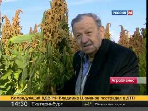 Видео: Амарант - корм XXI века