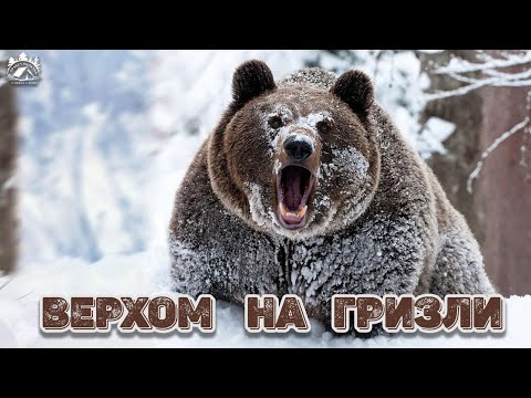 Видео: ep.40 Первый зимний выезд. Ямаха Гризли в лесу