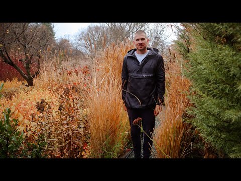 Видео: ДРУГИТЕ БЪЛГАРИ: Как се започва бизнес на село от нулатa | Ясен и ботаническа градина БОРИКА (Еп.15)