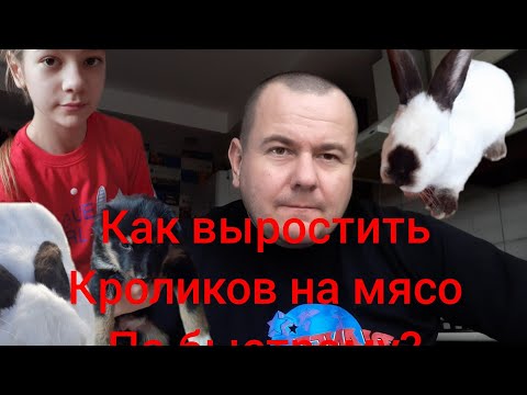 Видео: Как выростить кролика на мясо по быстрому?