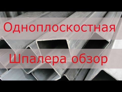 Видео: Одноплоскостная шпалера. Краткий обзор.