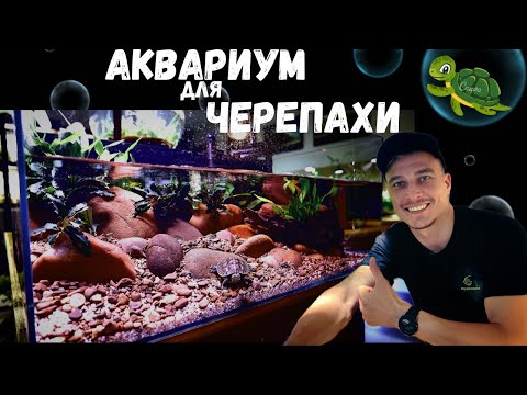 Видео: АКВАРИУМ ДЛЯ ЧЕРЕПАХИ | TURTLE TANK | TUTORIAL