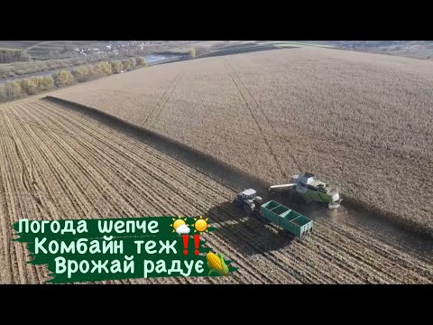 Видео: Ідеальна погода🌤️☀️для збирання кукурудзи🌽 комбайн CLAAS Lexion 760TT + Olimac Drago‼️🔥