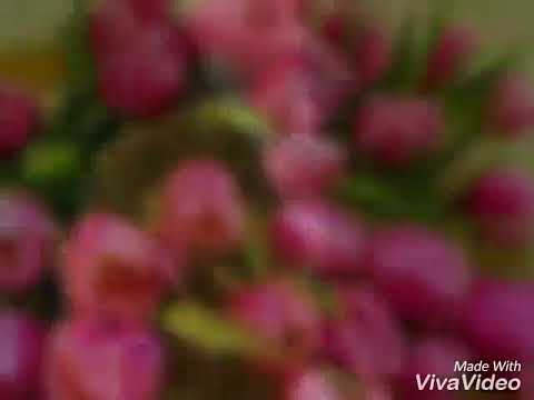 Видео: ЕЛДОС МЫНЖАСАР.  КЫЗГАЛДАК....