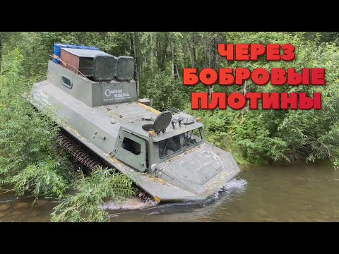 Видео: МТЛБ vs большие бобровые плотины! Таёжный off-road! Бобры не ожидали что мы доберемся до их плотин!