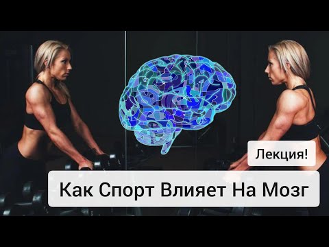 Видео: Как Спорт Влияет На Мозг