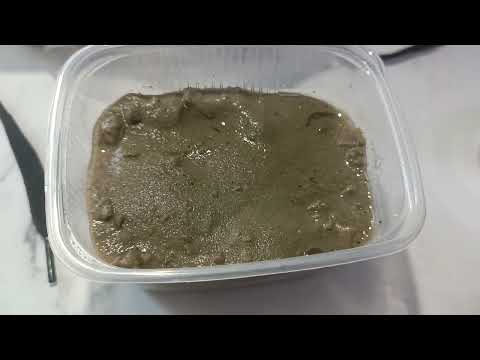 Видео: Укоренение метельчатой гортензии в песке без танцев с бубнами.