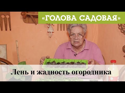 Видео: Голова садовая - Лень и жадность огородника