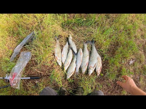 Видео: Волшебный ПОППЕР и ЖЕРИХОВЫЙ РАЙ!!!
