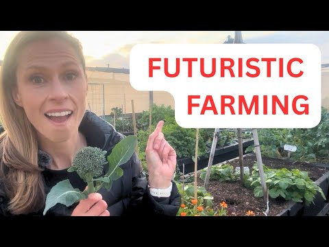 Видео: Самая большая в мире установка с поднятой грядкой с влагопоглощающим эффектом! Мыс — Фермерство с...