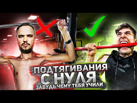 Видео: Как быстро научиться подтягиваться с нуля  – просто выполняй эти упражнения