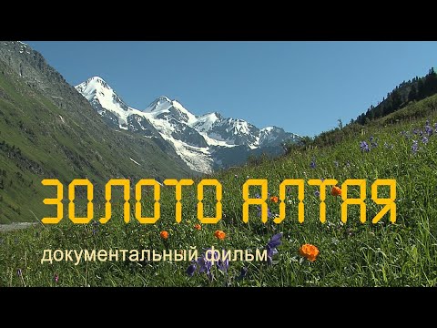 Видео: Горный Алтай. Озеро Тайменье. Мультинские озёра. Река Катунь. Староверы. Nature of Russia.