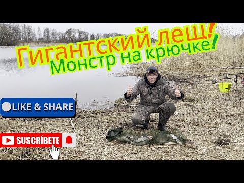 Видео: Огромный лещ + 10 лещей поменьше!Жесткая рыбалка,такого не ожидал!