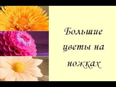Видео: Ростовые цветы на ножке. Большие цветы из гофрированной бумаги