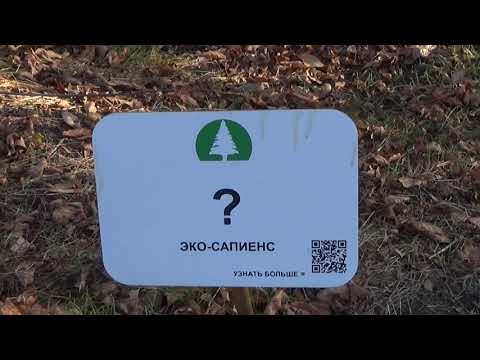 Видео: Самый мистический остров  - "Зеленый" .г. Ростов-на-Дону. Поход....Рыбалка.