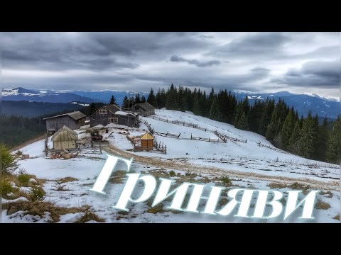 Видео: ГРИНЯВИ - край гуцульського МОЛЬФАРСТВА| НАЙКРАЩА ХАТА для ночівлі в горах
