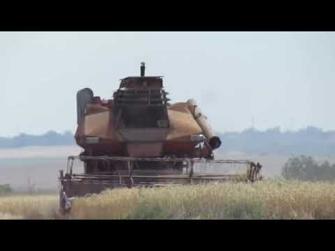 Видео: Підміняю Батька на Колос ск-6. "07.07.23"