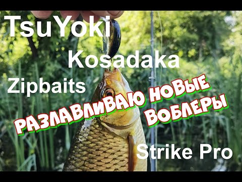 Видео: РАЗЛАВЛИВАЮ НОВЫЕ ВОБЛЕРЫ: Zipbaits Hickory, TsuYoki Fugaz SSR и др