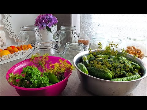 Видео: Мой метод маринования огурцов !Хрустящие !Вкусные и ароматные!