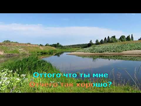 Видео: Старый клён