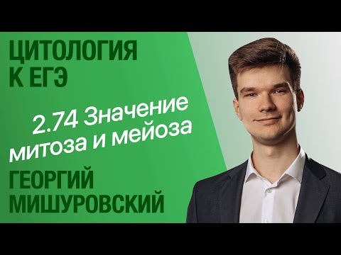 Видео: 2.74. Биологический смысл митоза и мейоза | Цитология к ЕГЭ | Георгий Мишуровский