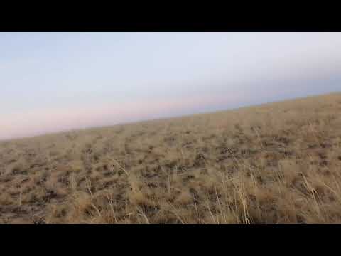 Видео: Казахстан! волшебные и завораживающие степи Торгая!