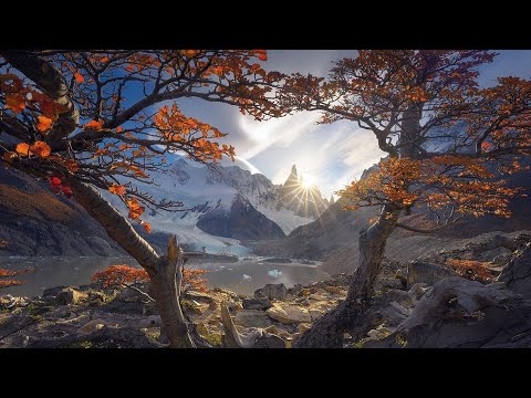 Видео: Ловить момент - Глава Дварим 5785