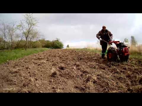 Видео: Мотоблок МТЗ 09Н  Испытание новых шин ГРУБЕРГ 7х12