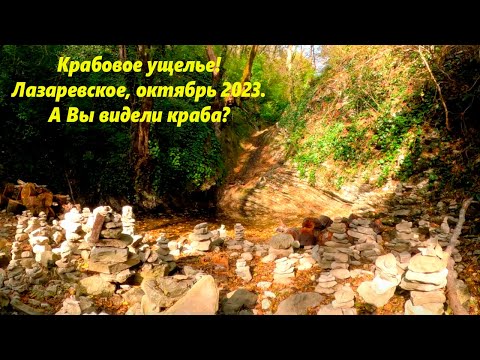 Видео: Крабовое ущелье в Лазаревском! Осень 2023г. Воды мало но я не пожалел !🌴ЛАЗАРЕВСКОЕ СЕГОДНЯ🌴СОЧИ.