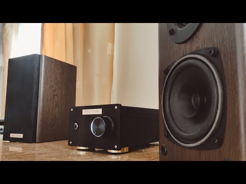 Видео: Трифоник с ЦАП Sound Reality, цифровые кабели IvaAudio - Выбор редакции 👍 Это уже уровень.