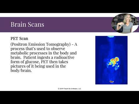 Видео: Перевернутые заметки. Часть первая для курса психологии AP от Мэнди Райс