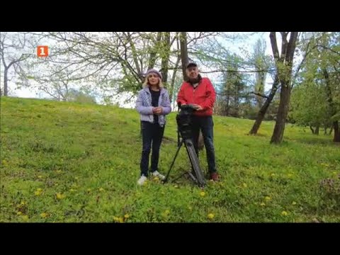 Видео: От Бордо до българския Северозапад - историята на млада жена влюбена във виното, Бразди, 29.04.2023