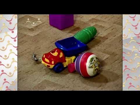 Видео: Шишкин Лес. Пылесос